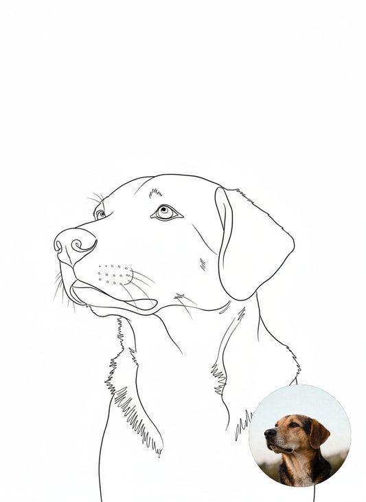 mockup-8_e0f6a52c-9b1d-4540-b266-9fcf56bbc420